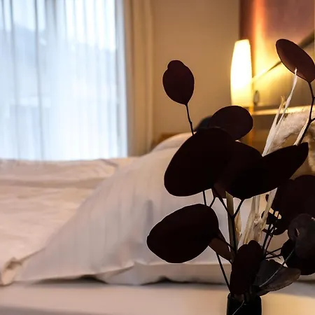 Hotel-restaurant Zur Muehle Hotel