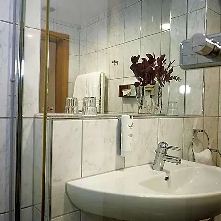 Hotel-restaurant Zur Muehle Hotel 2*