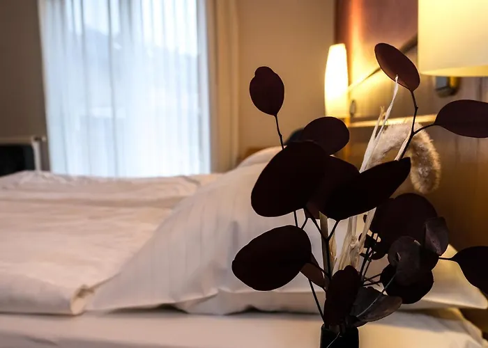 Hotel-restaurant Zur Muhle Hotel